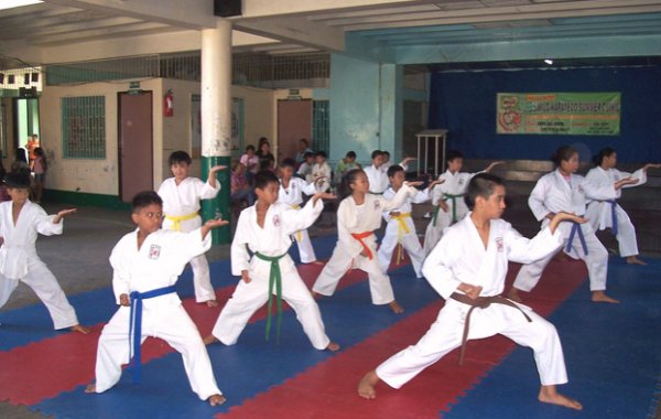 lezioni-karate-corso-online